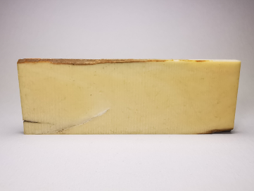 Mammoth ivory - Alaska, USA