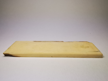 Mammoth ivory - Alaska, USA