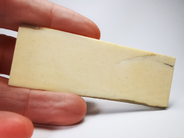 Mammoth ivory - Alaska, USA