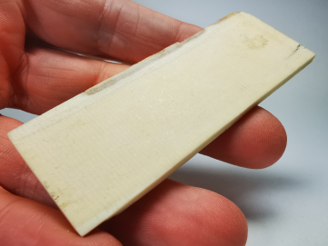 Mammoth ivory - Alaska, USA