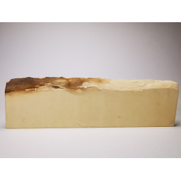 Mammoth ivory - Alaska, USA