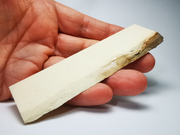 Mammoth ivory - Alaska, USA