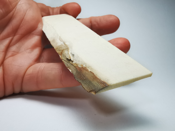 Mammoth ivory - Alaska, USA