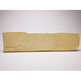 Mammoth ivory - Alaska, USA