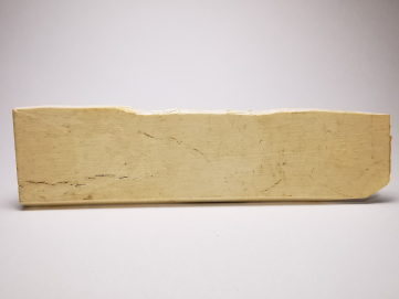 Mammoth ivory - Alaska, USA