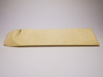 Mammoth ivory - Alaska, USA