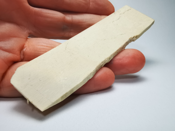 Mammoth ivory - Alaska, USA