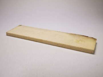 Mammoth ivory - Alaska, USA