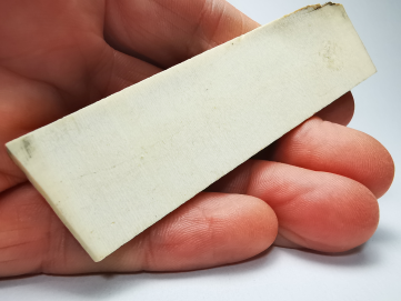 Mammoth ivory - Alaska, USA