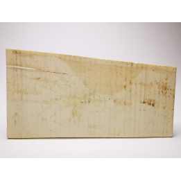 Mammoth ivory - Alaska, USA