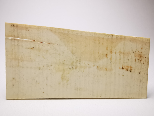 IVOIRE DE MAMMOUTH - Alaska, USA