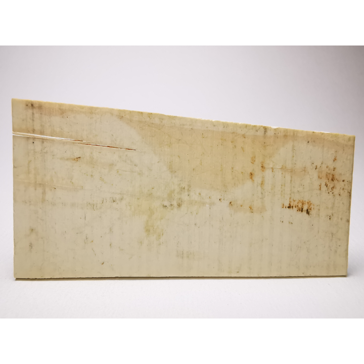 Mammoth ivory - Alaska, USA