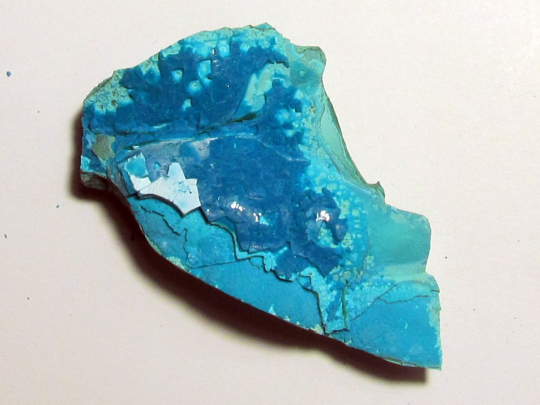 Chrysocolle Congo