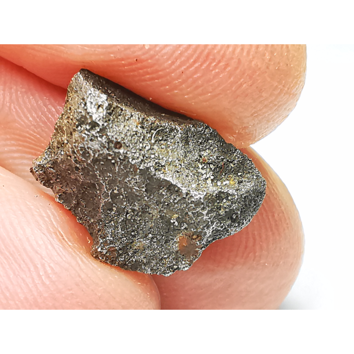 Météorite (Sidérite) d'Agoudal, Maroc