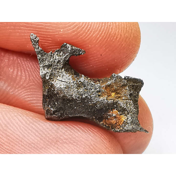 Iron meteorite (Siderite) : Agoudal, Morocco