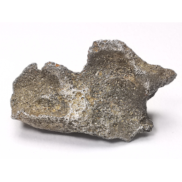 Météorite (Sidérite) d'Agoudal, Maroc