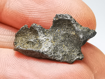 Météorite (Sidérite) d'Agoudal, Maroc