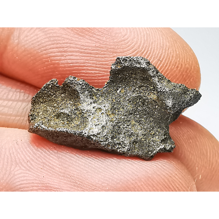 Météorite (Sidérite) d'Agoudal, Maroc