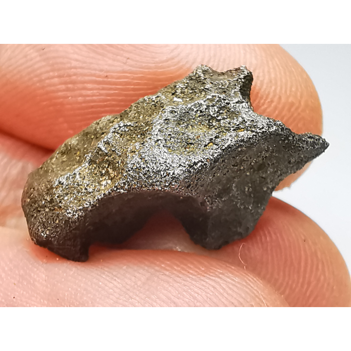 Iron meteorite (Siderite) : Agoudal, Morocco