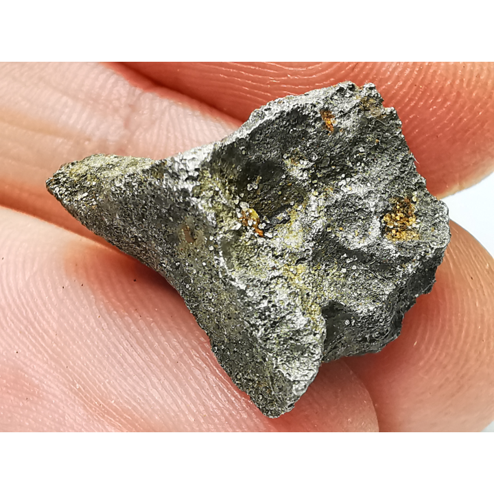 Météorite (Sidérite) d'Agoudal, Maroc
