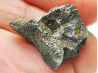 Iron meteorite (Siderite) : Agoudal, Morocco