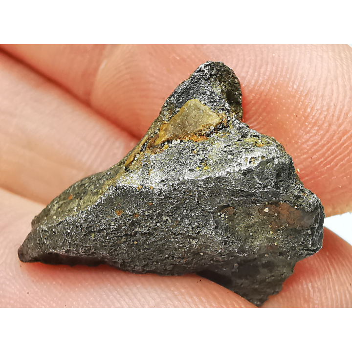 Météorite (Sidérite) d'Agoudal, Maroc