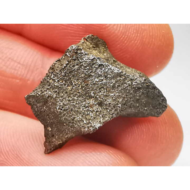 Iron meteorite (Siderite) : Agoudal, Morocco