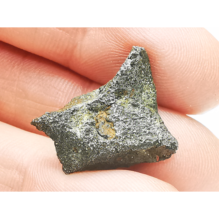 Iron meteorite (Siderite) : Agoudal, Morocco