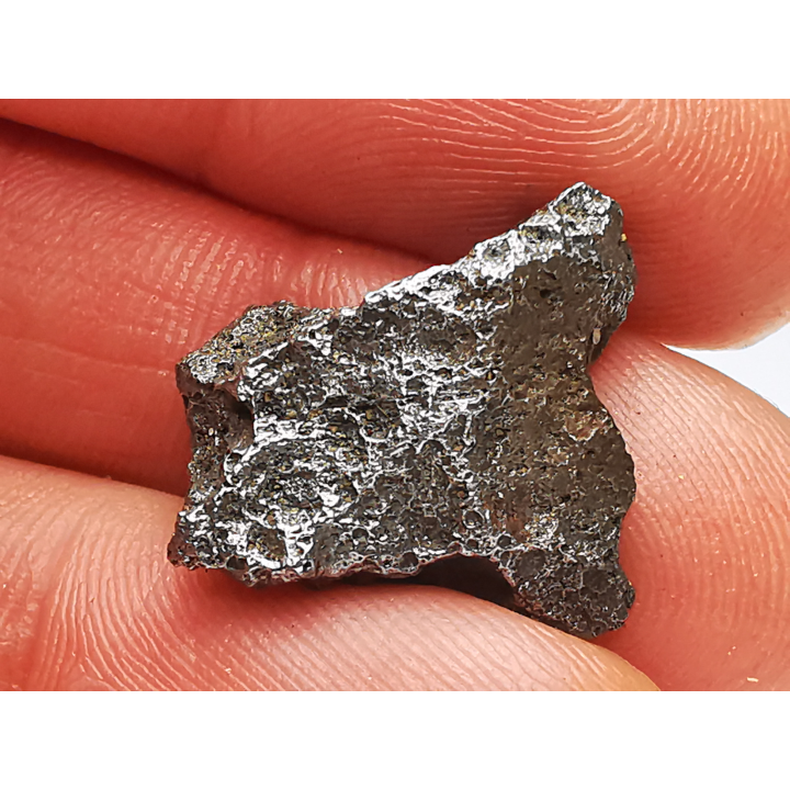 Iron meteorite (Siderite) : Agoudal, Morocco