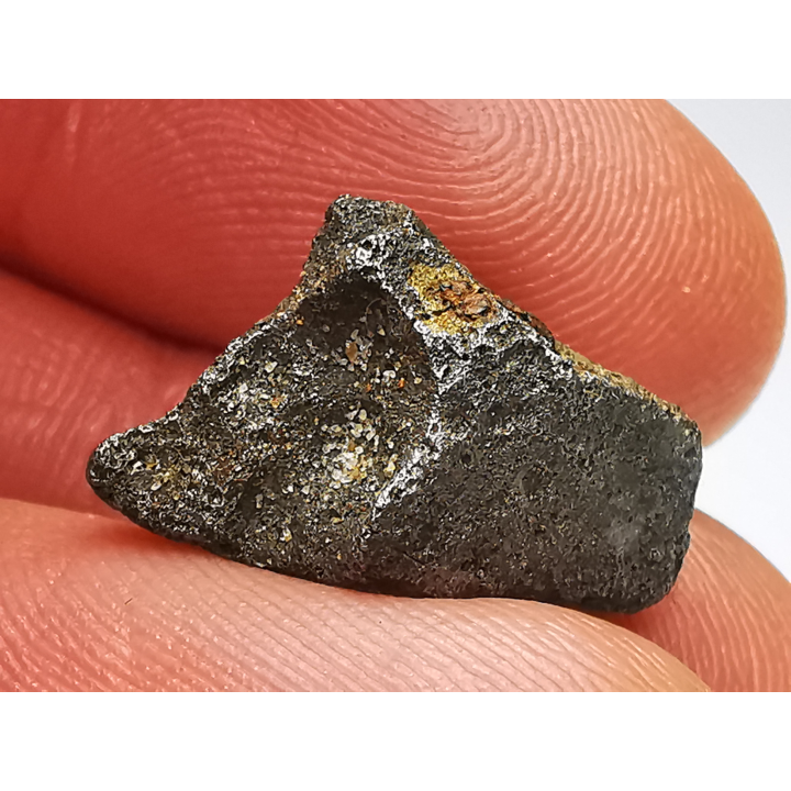 Iron meteorite (Siderite) : Agoudal, Morocco