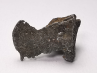 Iron meteorite (Siderite) : Agoudal, Morocco