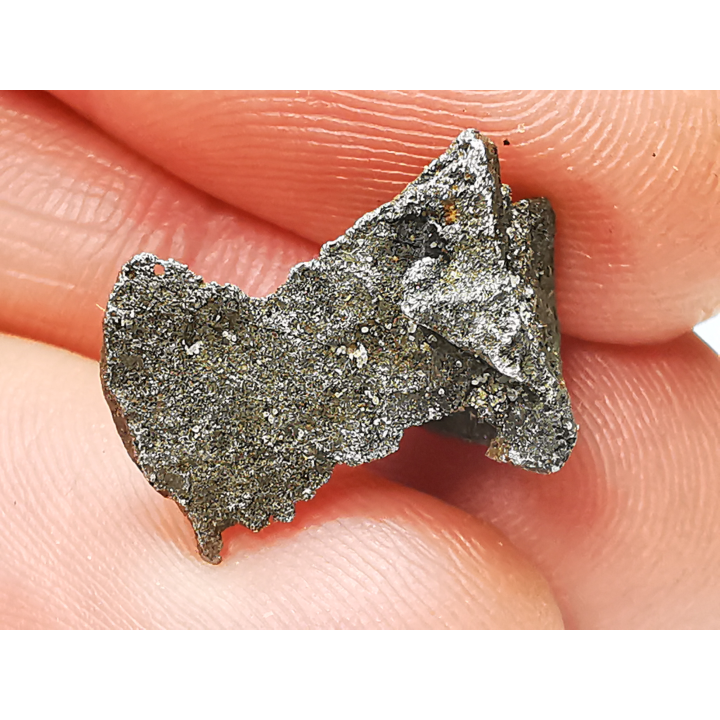Météorite (Sidérite) d'Agoudal, Maroc