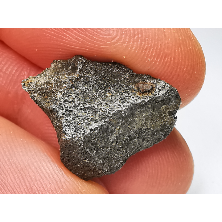 Météorite (Sidérite) d'Agoudal, Maroc