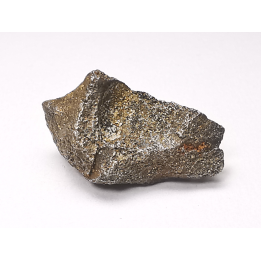 Iron meteorite (Siderite) : Agoudal, Morocco