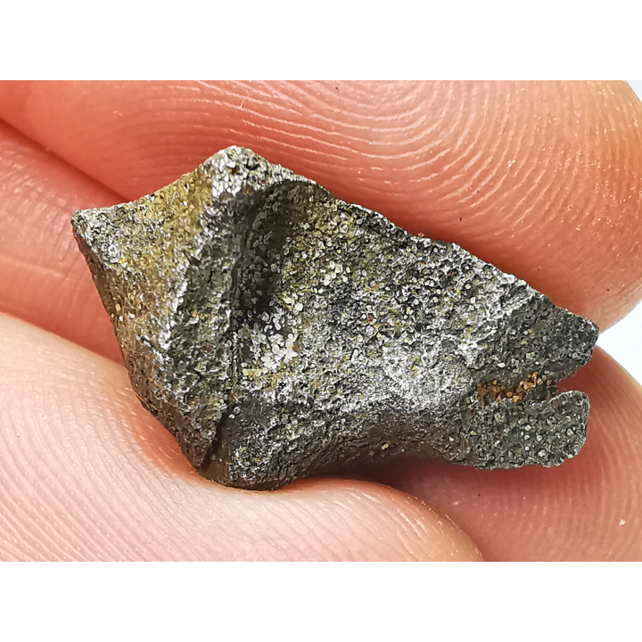 Météorite (Sidérite) d'Agoudal, Maroc