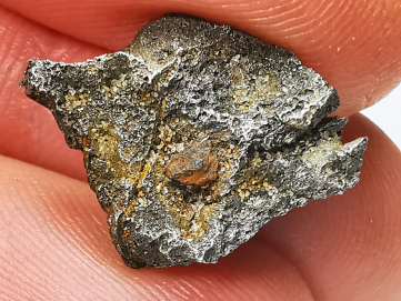 Météorite (Sidérite) d'Agoudal, Maroc