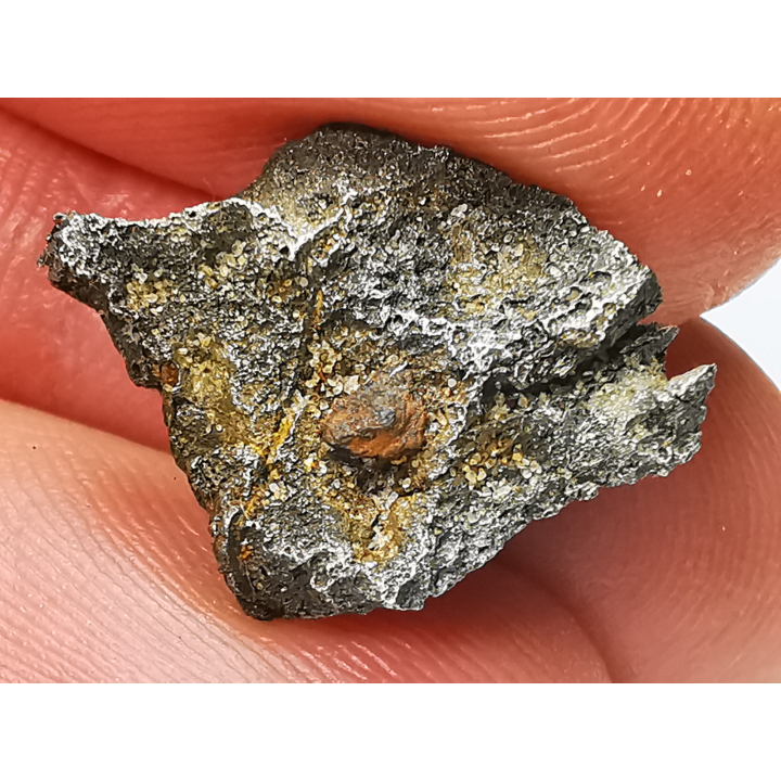 Iron meteorite (Siderite) : Agoudal, Morocco