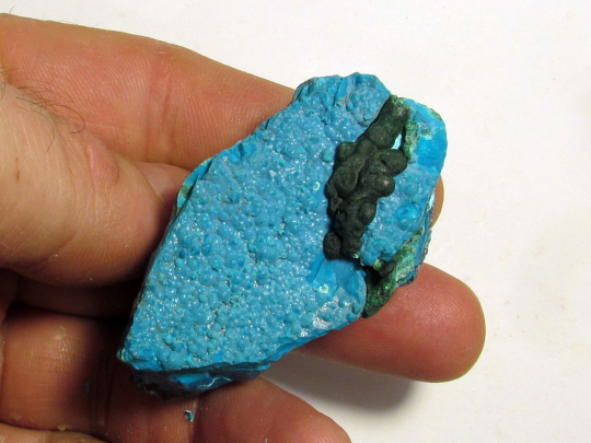 Chrysocolle du Congo