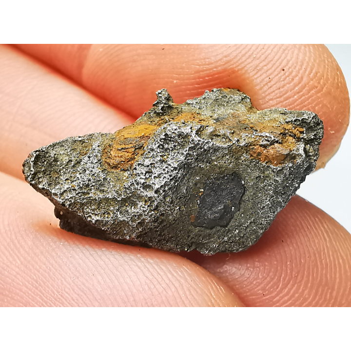 Iron meteorite (Siderite) : Agoudal, Morocco