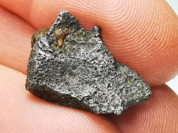 Météorite (Sidérite) d'Agoudal, Maroc