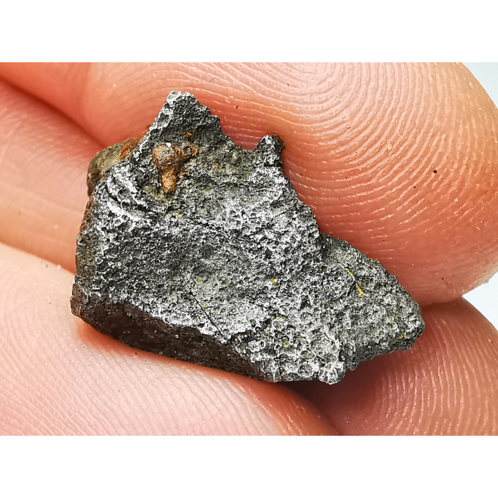 Météorite (Sidérite) d'Agoudal, Maroc