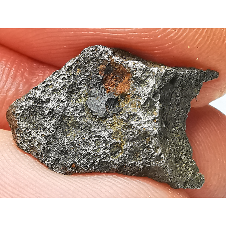 Météorite (Sidérite) d'Agoudal, Maroc