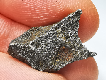 Météorite (Sidérite) d'Agoudal, Maroc
