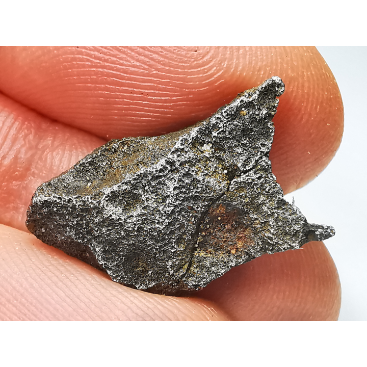 Météorite (Sidérite) d'Agoudal, Maroc