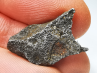Météorite (Sidérite) d'Agoudal, Maroc