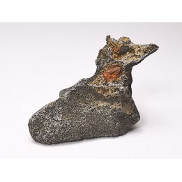 Iron meteorite (Siderite) : Agoudal, Morocco