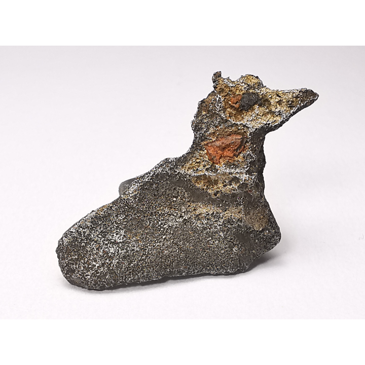 Iron meteorite (Siderite) : Agoudal, Morocco