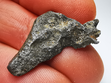 Iron meteorite (Siderite) : Agoudal, Morocco