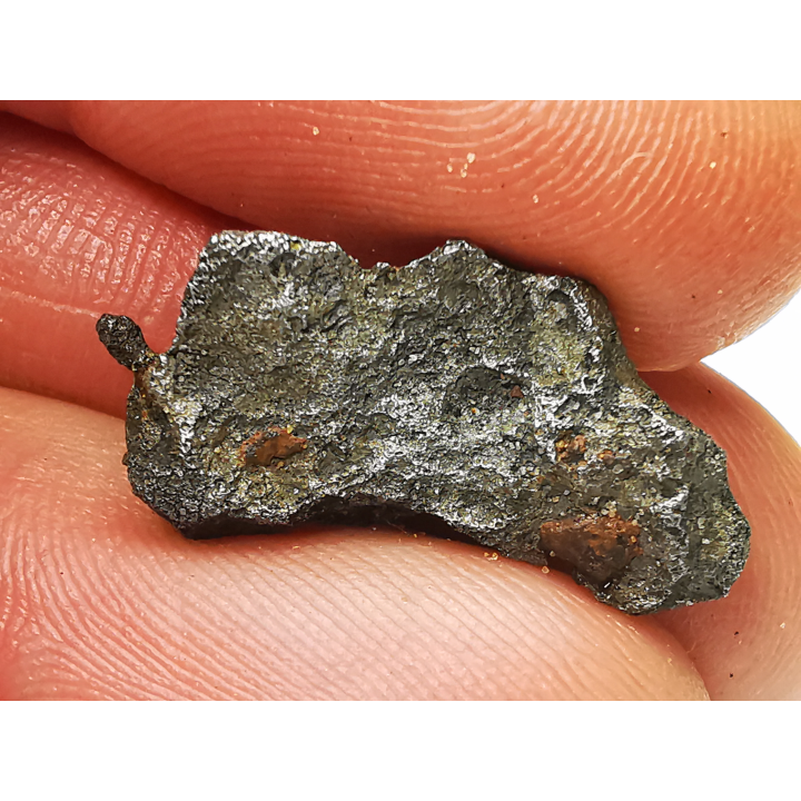 Météorite (Sidérite) d'Agoudal, Maroc