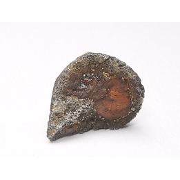 Iron meteorite (Siderite) : Agoudal, Morocco